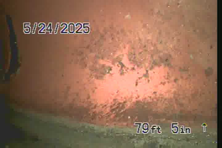 Frame